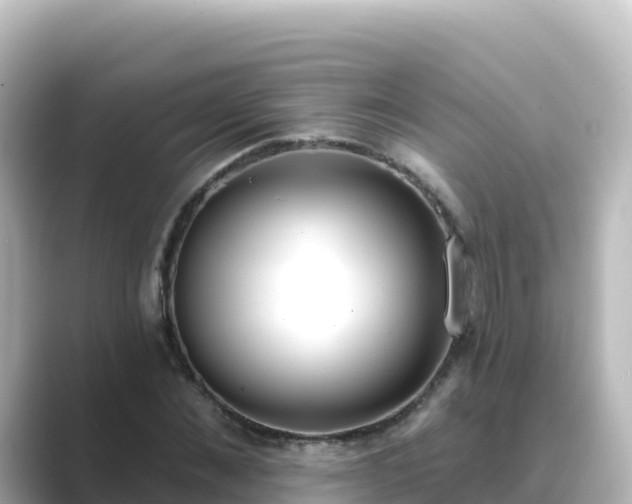 X0000089420876200706221151