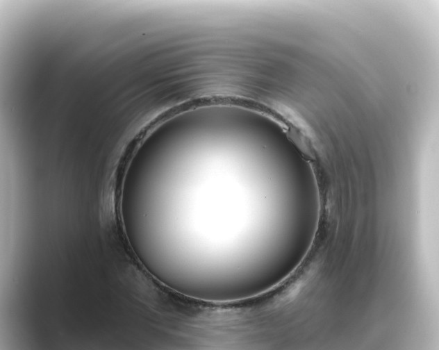 X0000089420877200706221151