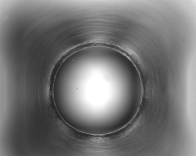 X0000089420880200706221151