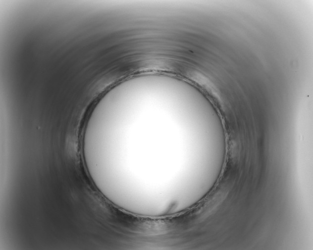 X0000089420882200706221151