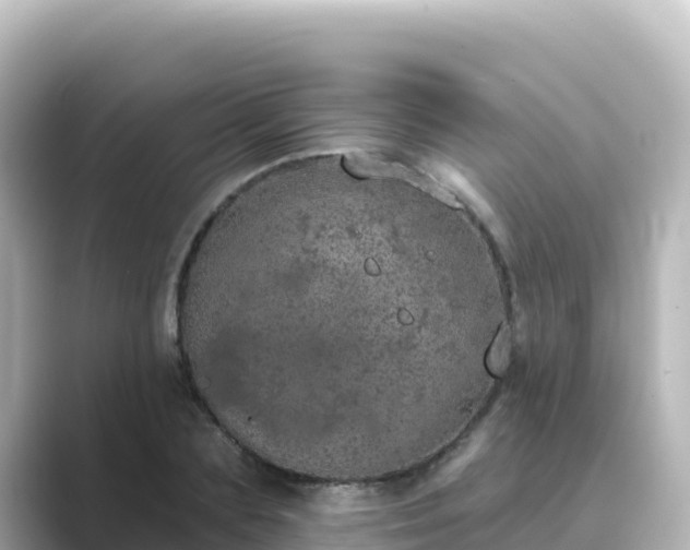 X0000089420883200706221151