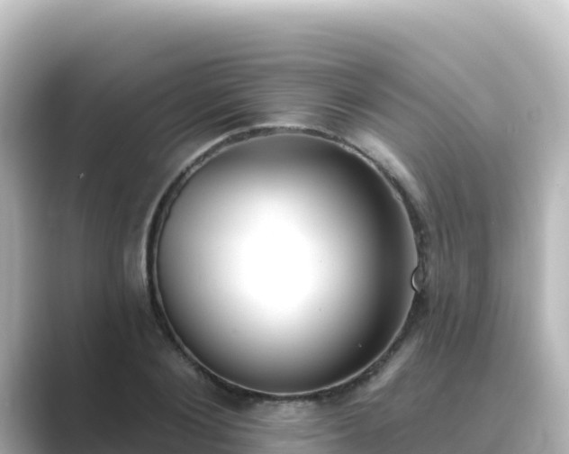 X0000089420884200706221151