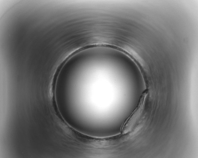X0000089420885200706221151