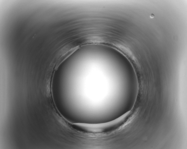 X0000089420889200706221151
