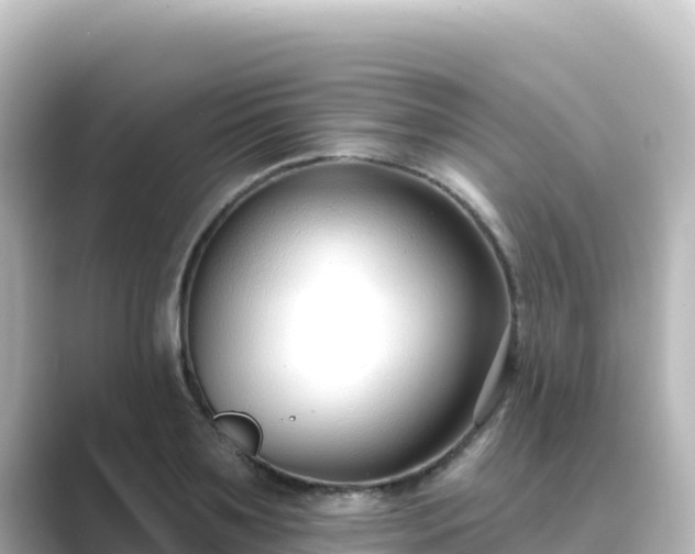 X0000089420891200706221151