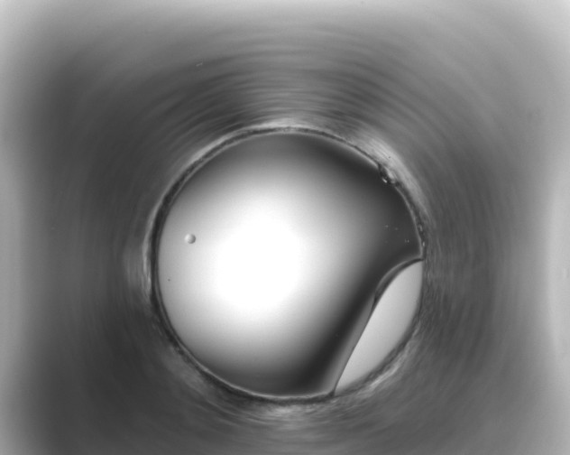 X0000089420892200706221151