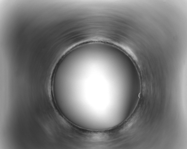 X0000089420895200706221151