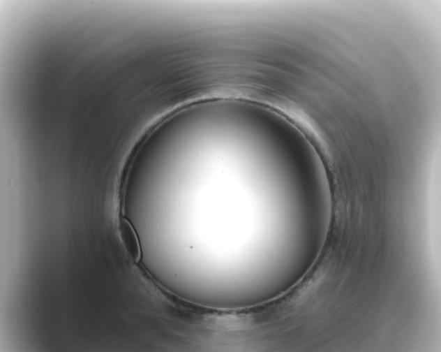 X0000089420896200706221151