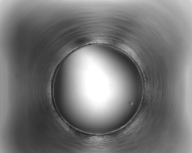X0000089420898200706221151