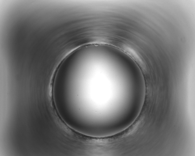 X0000089420900200706221151