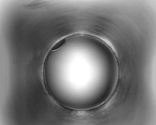X0000089420903200706221151