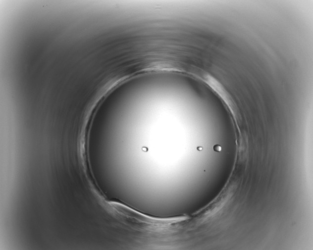 X0000089420909200706221151