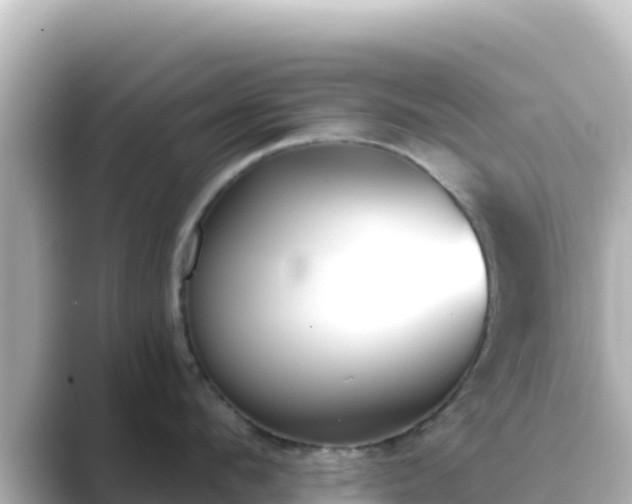 X0000089420912200706221151