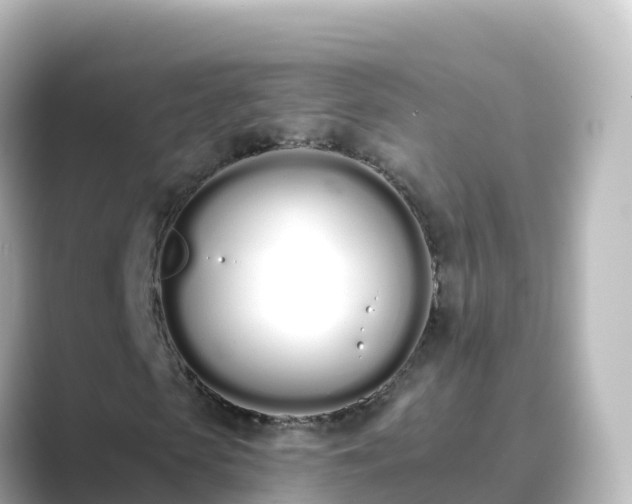X0000089420913200706221150