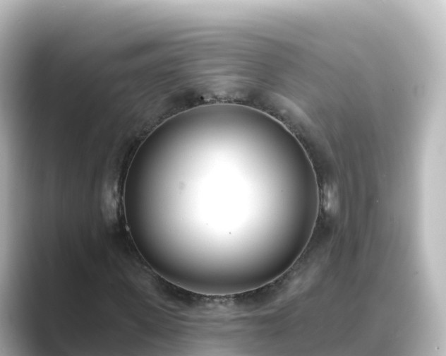 X0000089420915200706221150