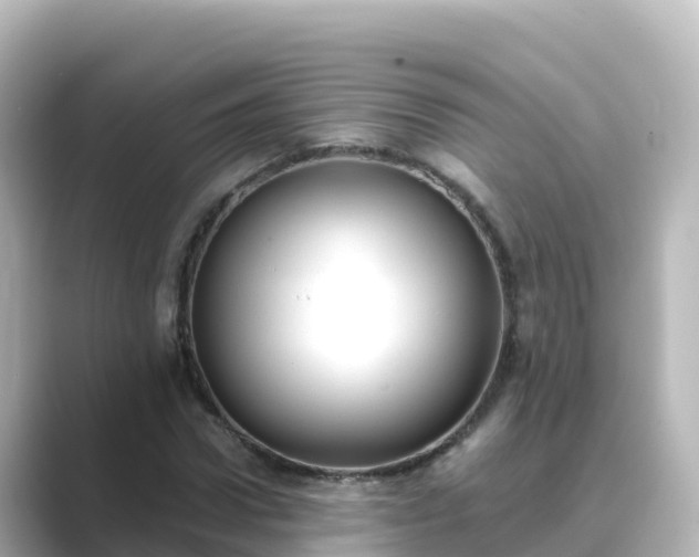 X0000089420922200706221150