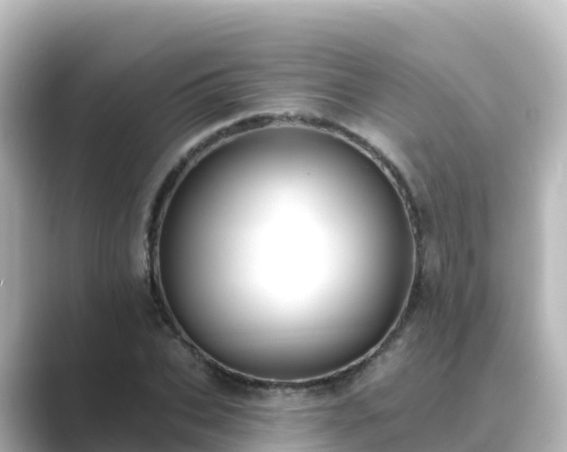 X0000089420927200706221150