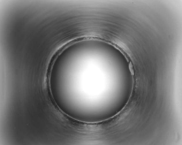 X0000089420928200706221150