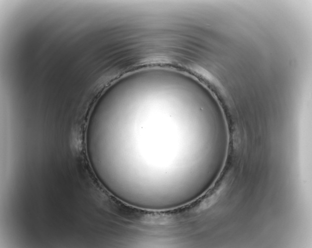 X0000089420929200706221150