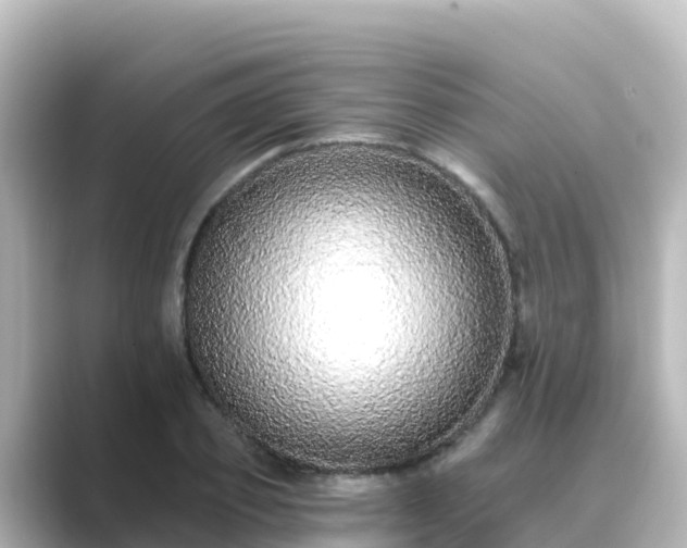 X0000089420933200706221150