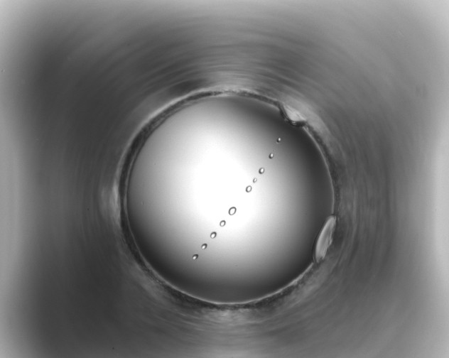 X0000089420936200706221150