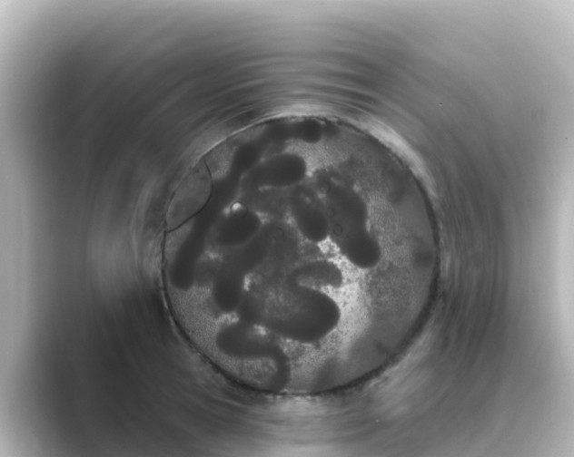 X0000089420945200706221151