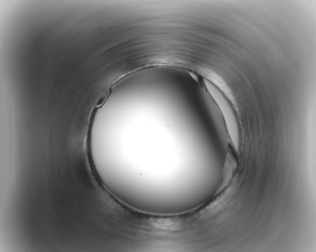 X0000089420946200706221151