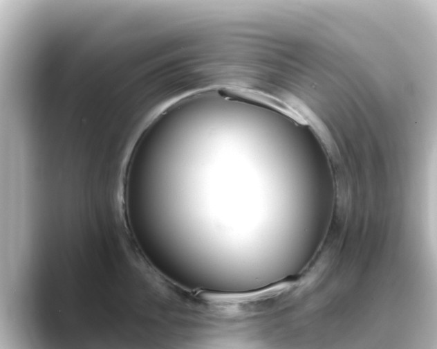 X0000089420956200706221151