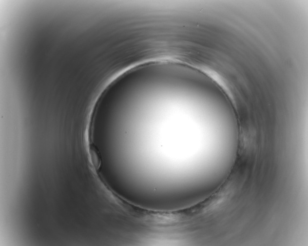 X0000089420959200706221151