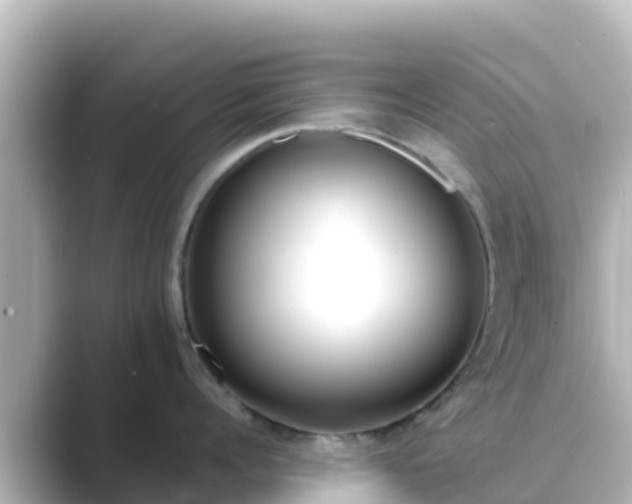 X0000089420960200706221151