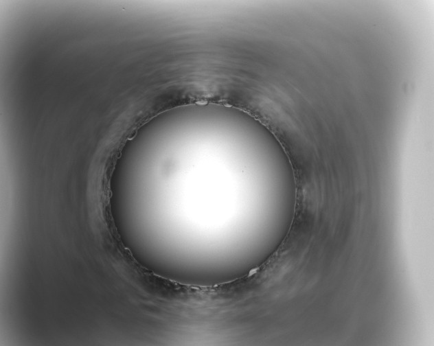 X0000089420961200706221150