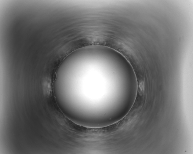 X0000089420963200706221150
