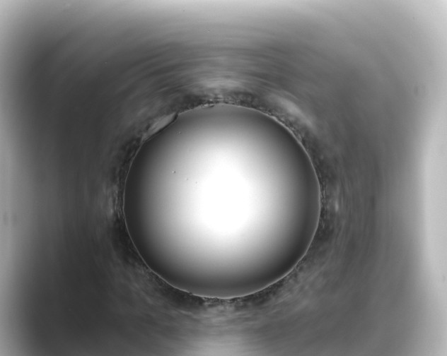 X0000089420965200706221150