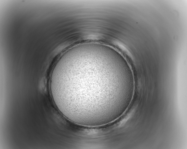X0000089420970200706221150