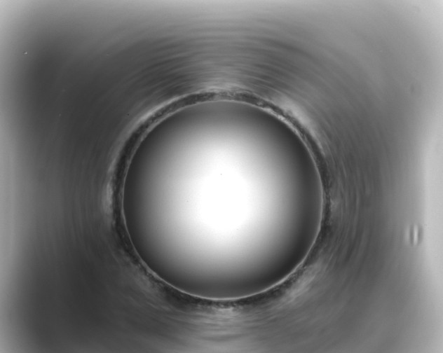 X0000089420975200706221150