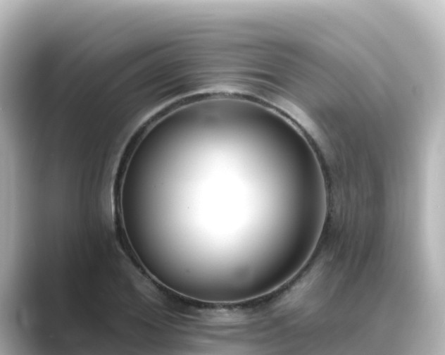 X0000089420980200706221150