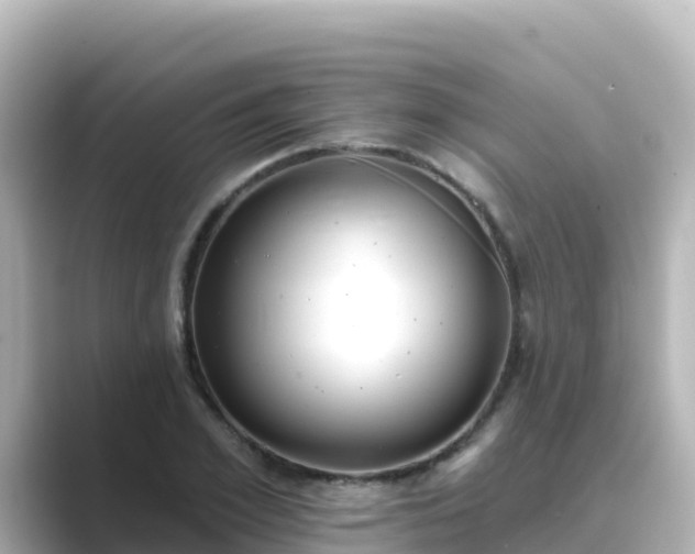 X0000089420981200706221150