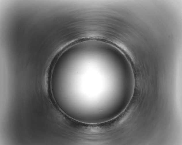 X0000089420983200706221150
