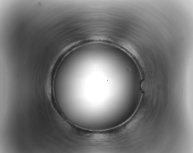 X0000089420984200706221150