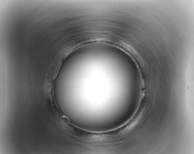 X0000089420985200706221150