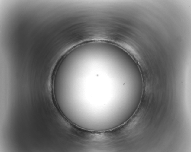 X0000089420990200706221150