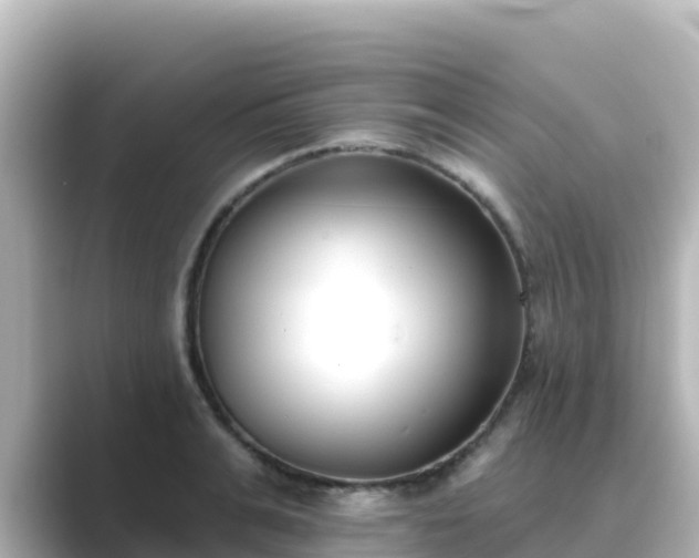 X0000089420991200706221150