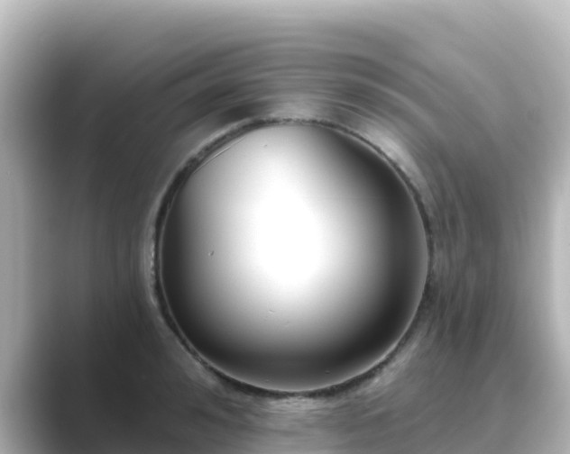 X0000089420992200706221150