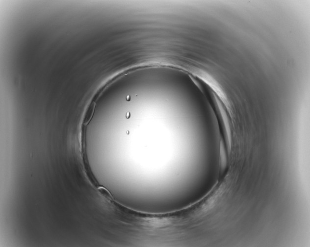 X0000089420996200706221150