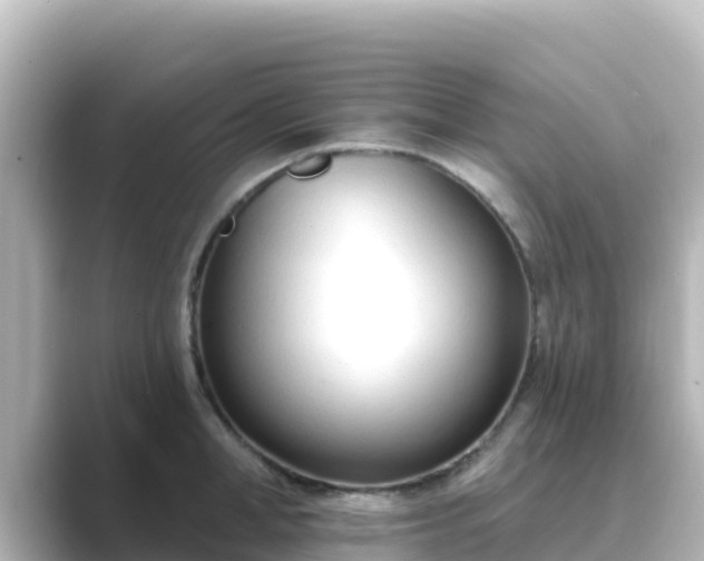 X0000089420998200706221150
