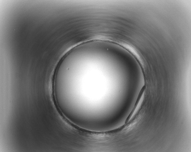 X0000089420999200706221150