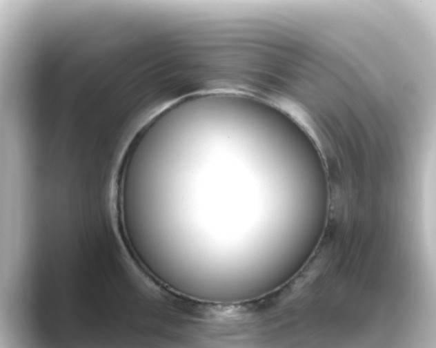 X0000089421003200706221150