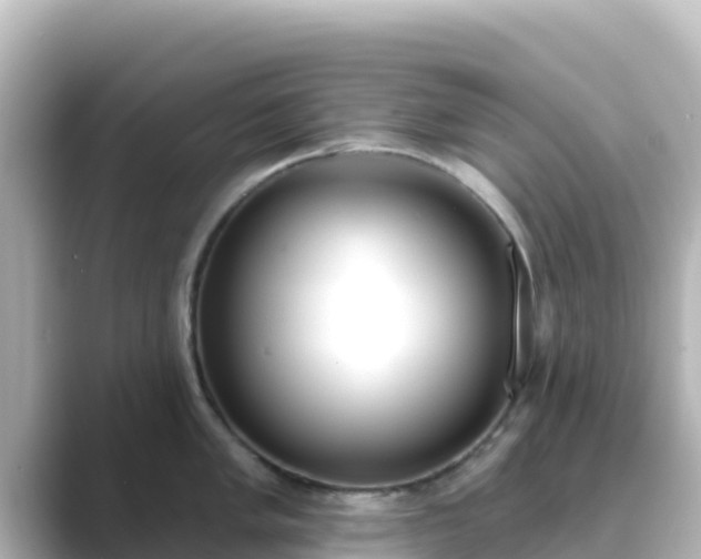 X0000089421005200706221150