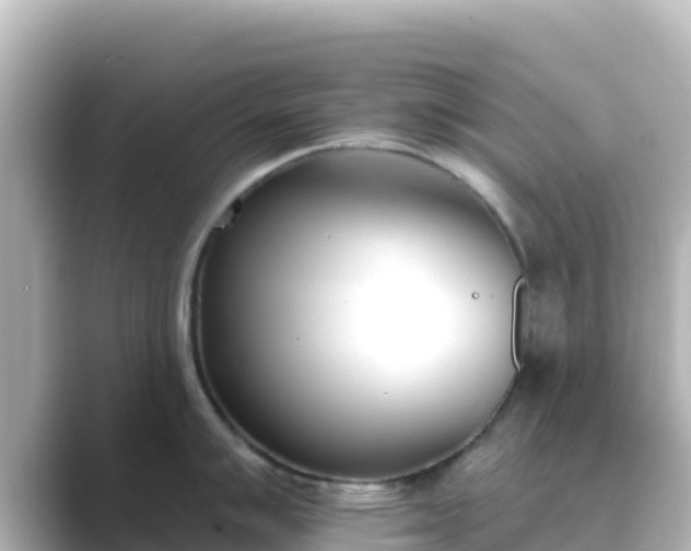 X0000089421007200706221150