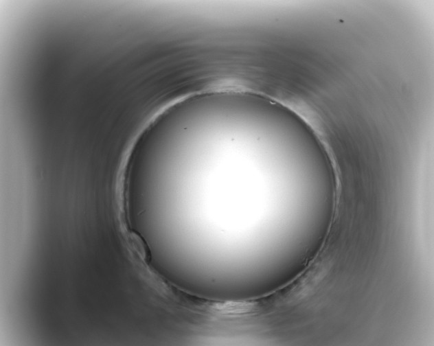 X0000089421008200706221150